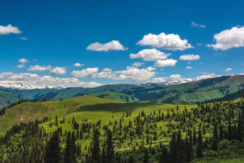 新疆|我亲身经历新疆，见到了别人不知道的真相