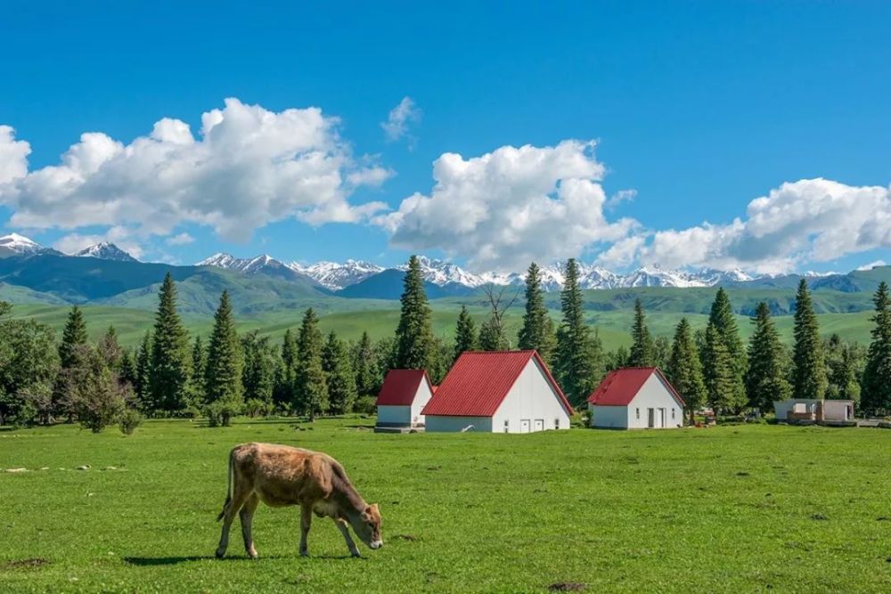 新疆|我亲身经历新疆，见到了别人不知道的真相