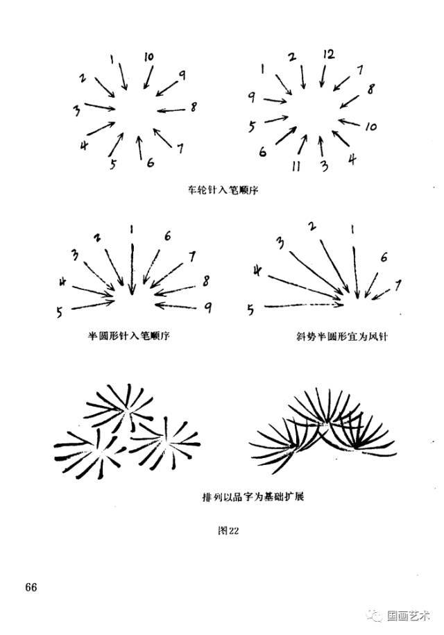 学画松树美术教案图片