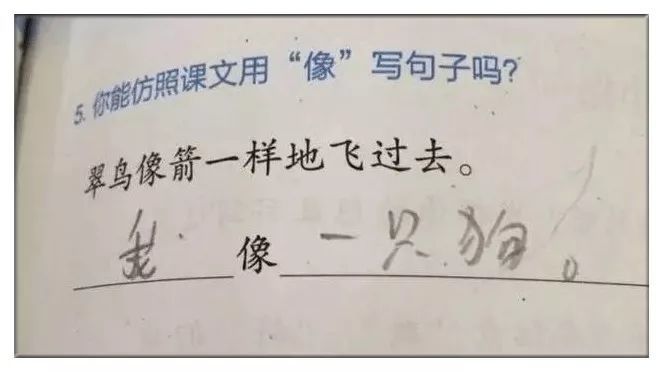 在兒子的作文裡我發現了老婆出軌的證據