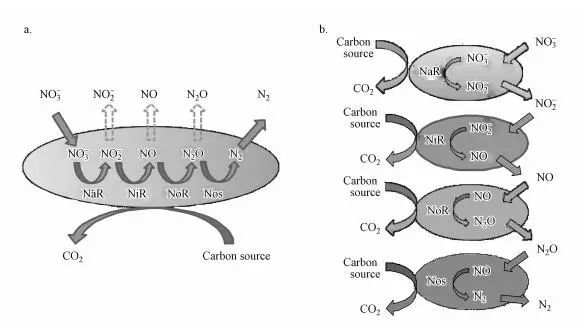 污水反硝化脱氮工艺