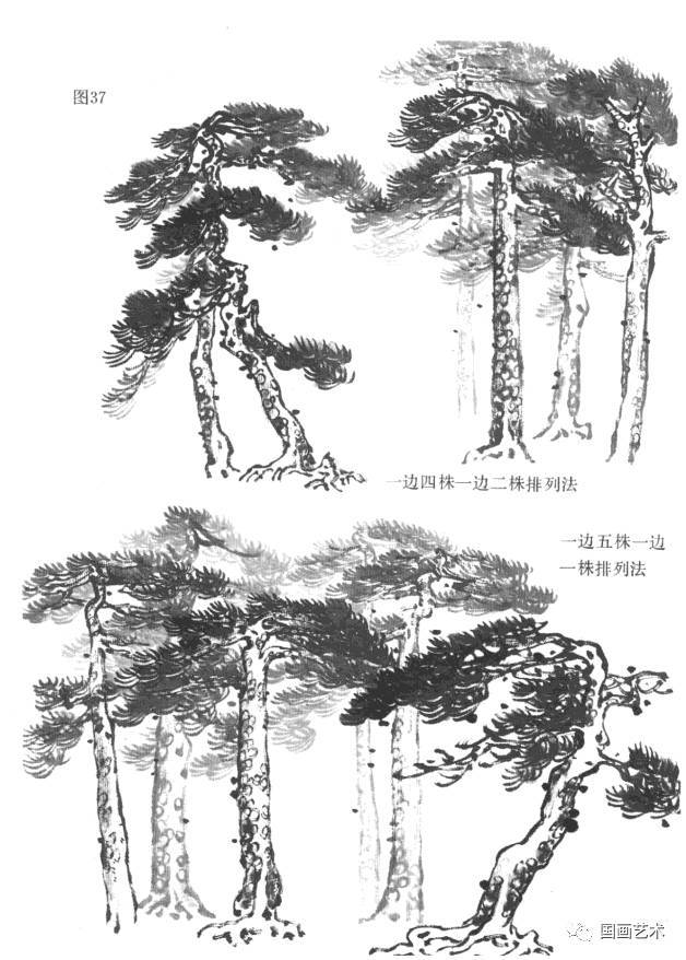 国画技法松树的画法详解