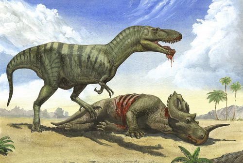 远古最强蛇发女怪龙食谱包括恐龙专家的观点却引起舆论