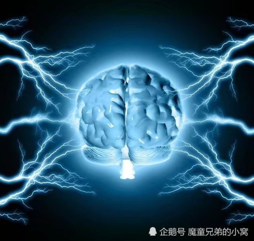 情绪调节跟大脑的那个部位有关?