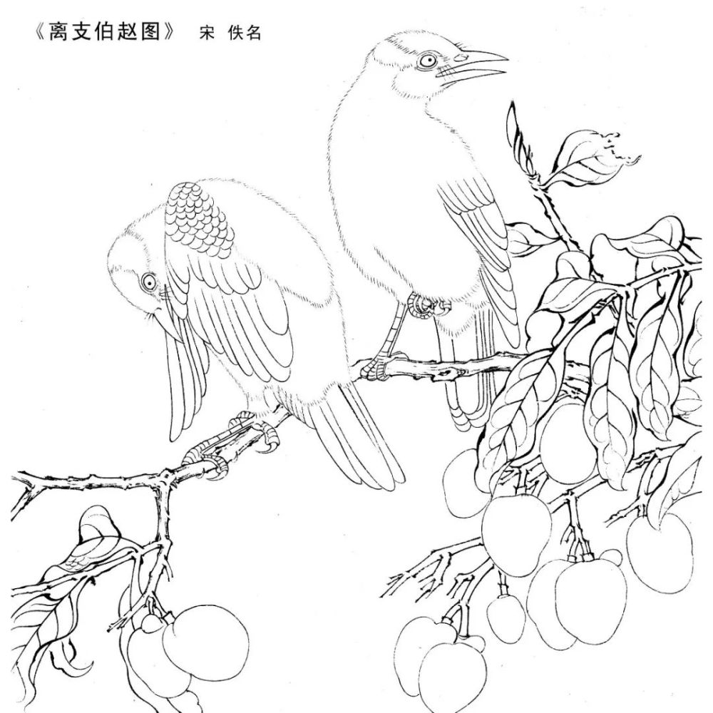 素材|一组宋画工笔白描40图 学习国画工笔最好的素材