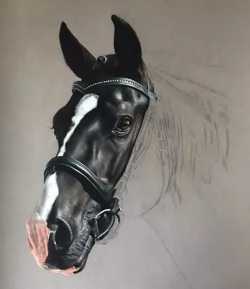 巴黎艺术家画的彩铅马大开眼界