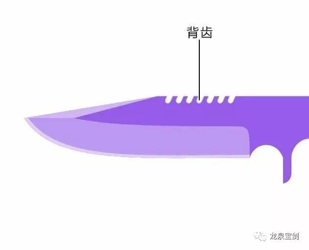 龙泉宝剑｜刀具上的血槽、背齿、洞，都是干什么用的？_腾讯新闻