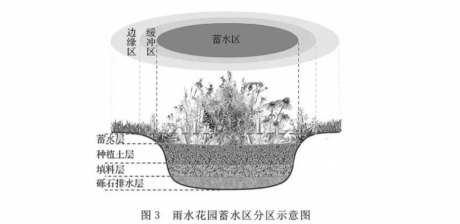 如何建造一个雨水花园