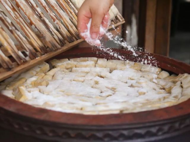 豆腐乳发酵过程图片