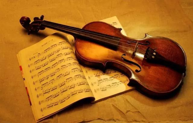 小提琴|你知道为什么小提琴是乐器中的“皇后”吗？