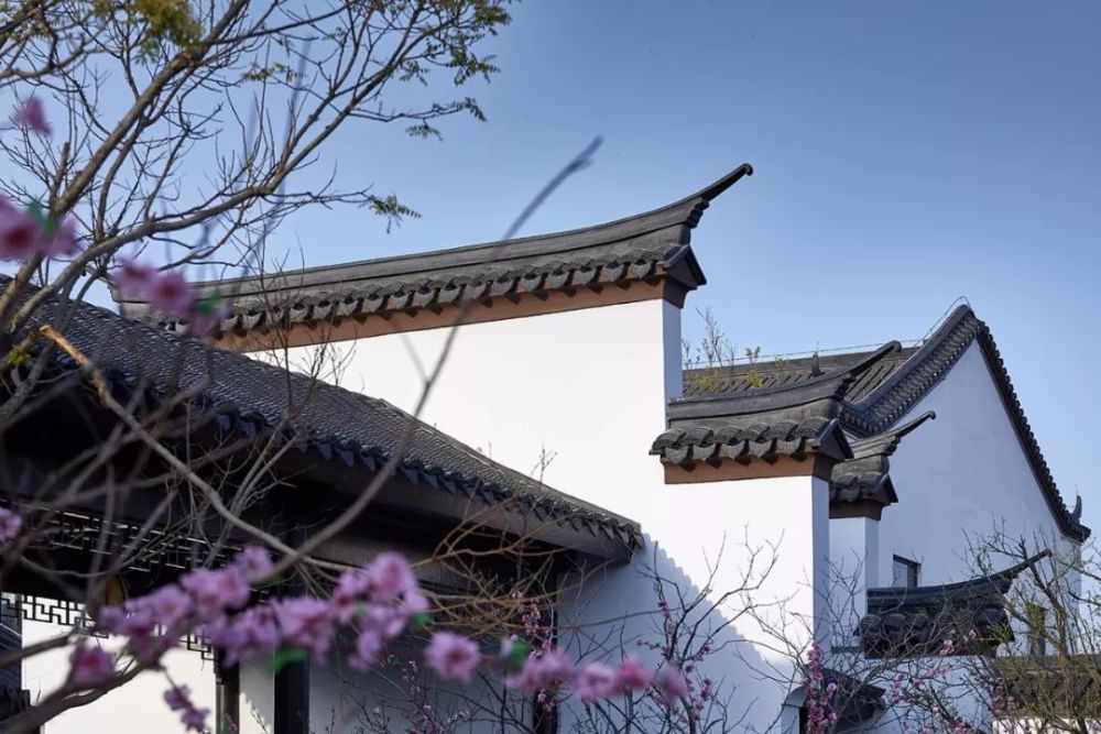 庭院|中式庭院，才是最终的人生归途！