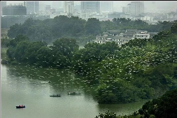 世界森林日:森林关于人体健康的这九大