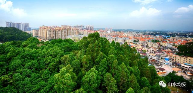 远眺均安三华社区 三华社区"爱岗敬业好青年"评选 网络投票今日开启!