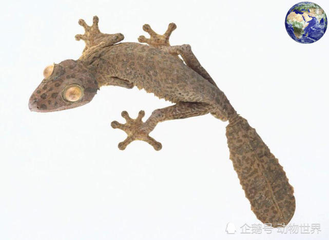 腾讯内容开放平台