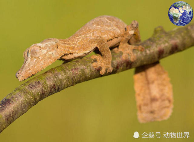腾讯内容开放平台