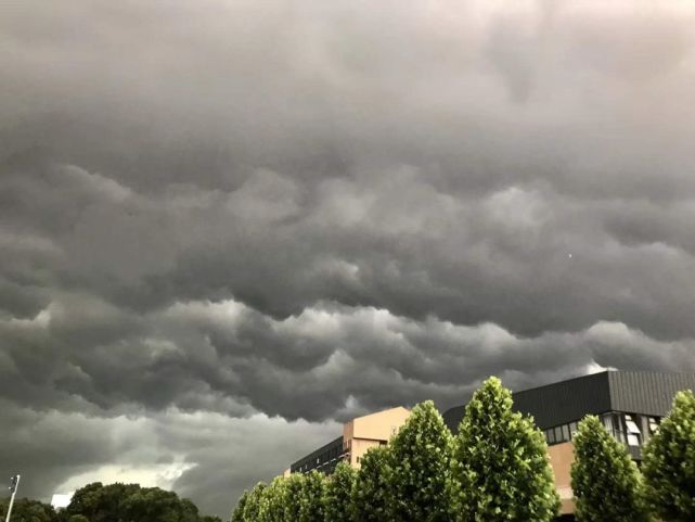 武汉气象连续发布多条预警 乌云压顶,一场大雨即将倾城 ▼ 表急 前方