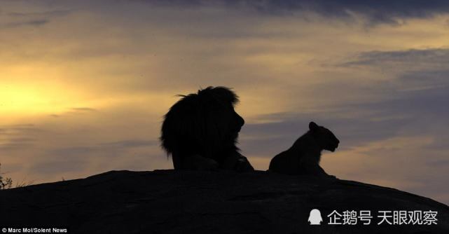 腾讯内容开放平台
