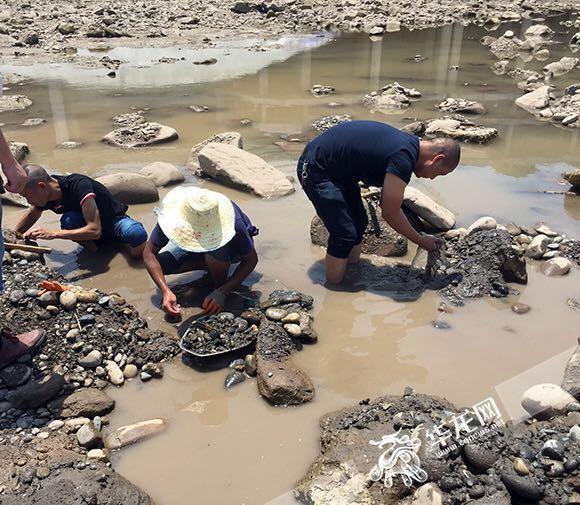磁器口江边来了群"淘金"客 金子可能是假的违法却是真的