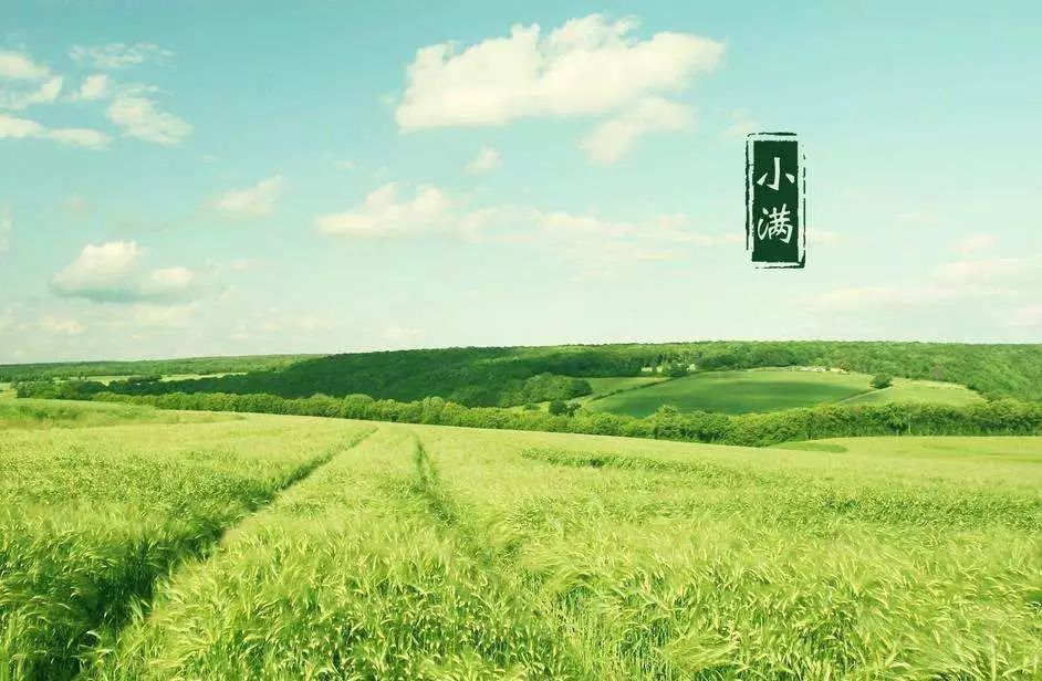 小满|夏满时节,蓄力前行