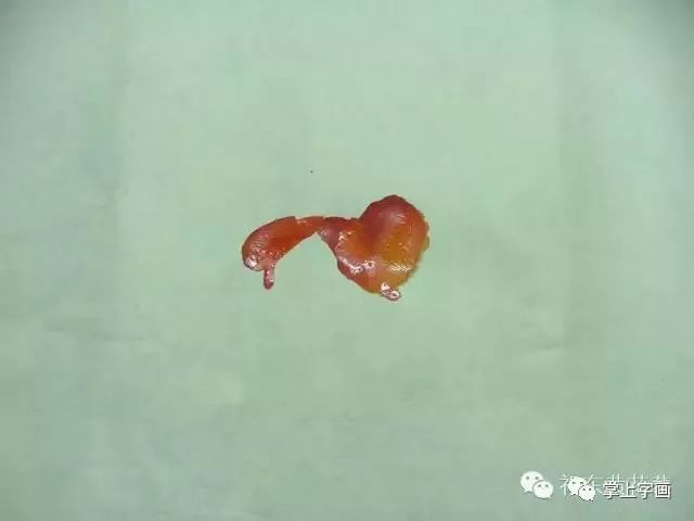 画法|写意国画草步骤画法