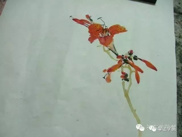 画法|写意国画草步骤画法