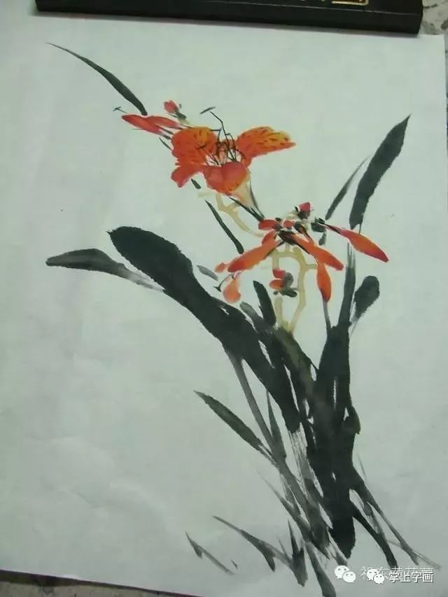 画法|写意国画草步骤画法