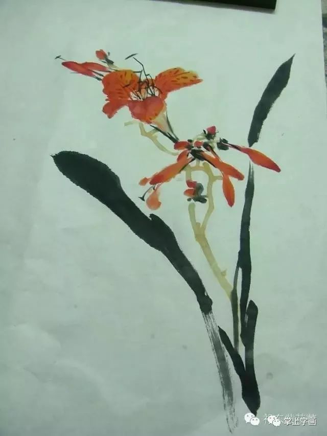 画法|写意国画草步骤画法