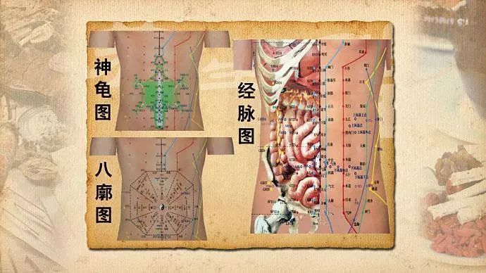 7,足部全息圖6,耳部全息圖5,眼睛全息圖4,手部全息圖3,手掌骨全息圖2