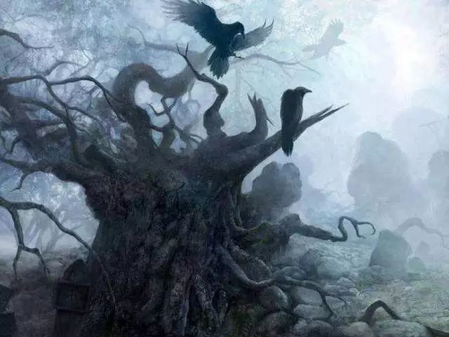 故宫|记住：出门在外一定不要和这些东西合影，不管多忙都要看看！