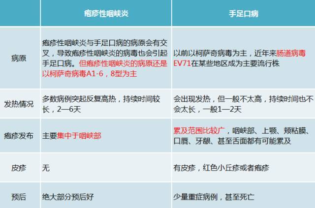 龍舟雨來了隨之而來的還有高傳染性的皰疹性咽峽炎