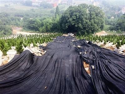 强降雨导致湖州开发区元宝山公墓一侧山体滑坡