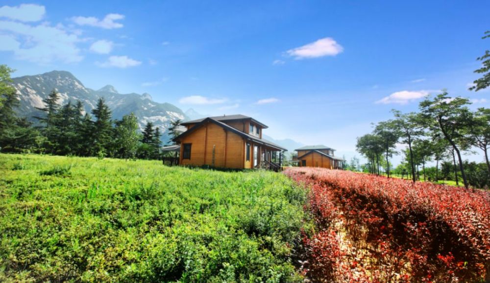 陕西舍"小"赢"大"