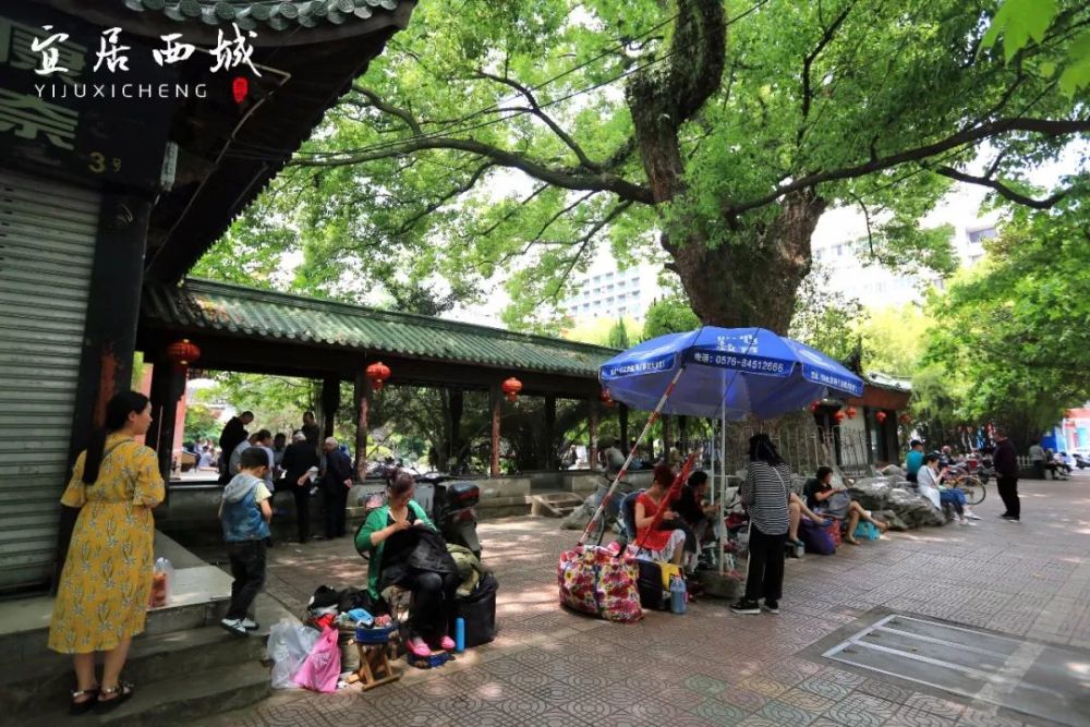 孔园|生活在针线间演绎