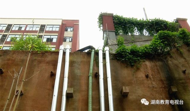 惊险!长沙一小区学生翻墙去上学 家长十分震惊