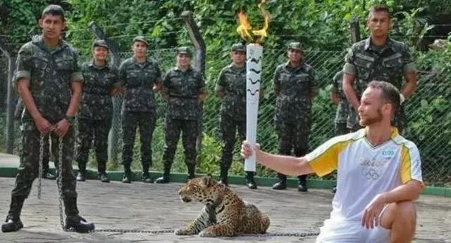 里约奥运吉祥物美洲豹被击毙运动员被打劫