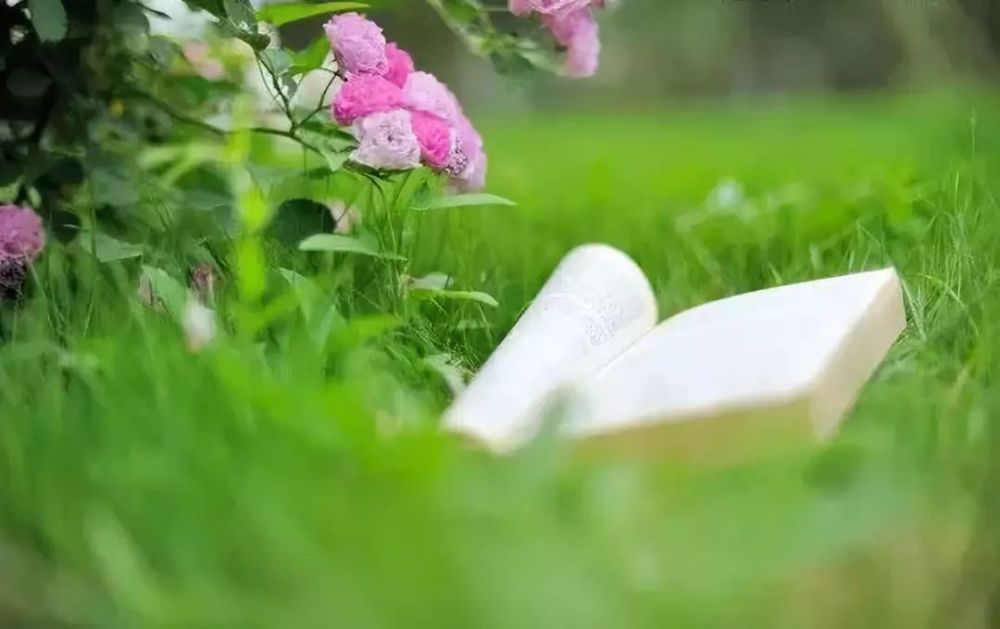 钱穆读书即是人生之最大幸福与最高享受