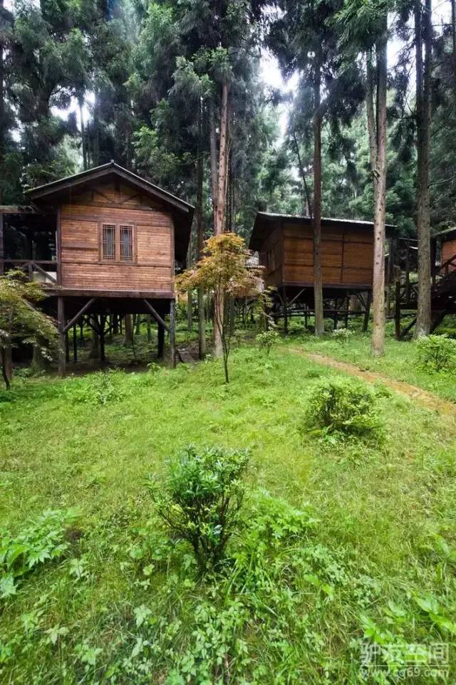 森林坪坝营,梦幻小木屋!