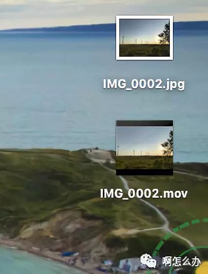 mac将livephoto变成视频
