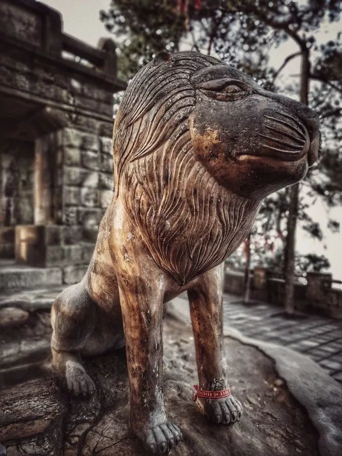 重庆爬山扫黄最强攻略,莫辜负周末大好时光!