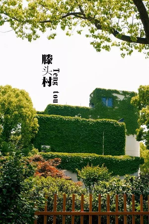 滕头村在1993年就被评为地球生态500强,世界十佳自然村,首批全国5a级