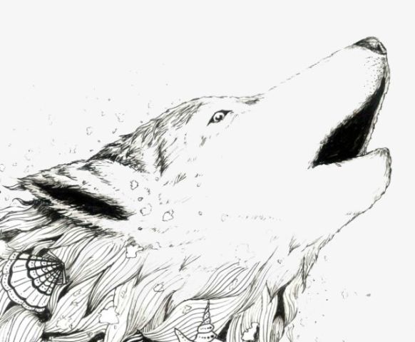 每个世界的老攻味道都不一样耽美快穿