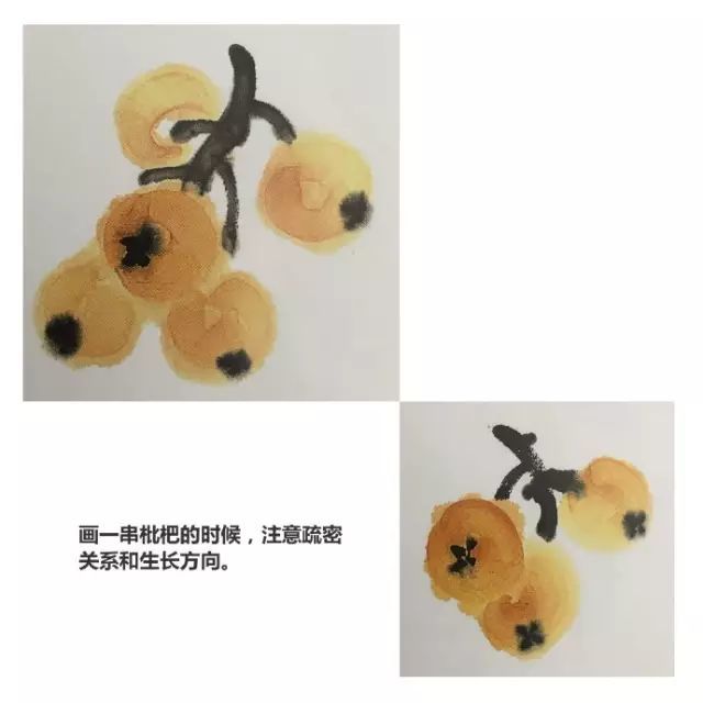 画法|跟着徐湛老师学写意：枇杷的画法
