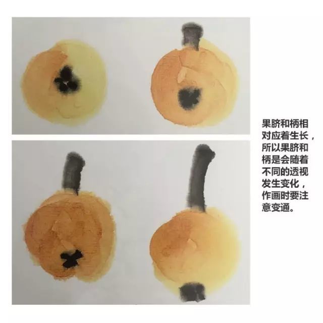 画法|跟着徐湛老师学写意：枇杷的画法