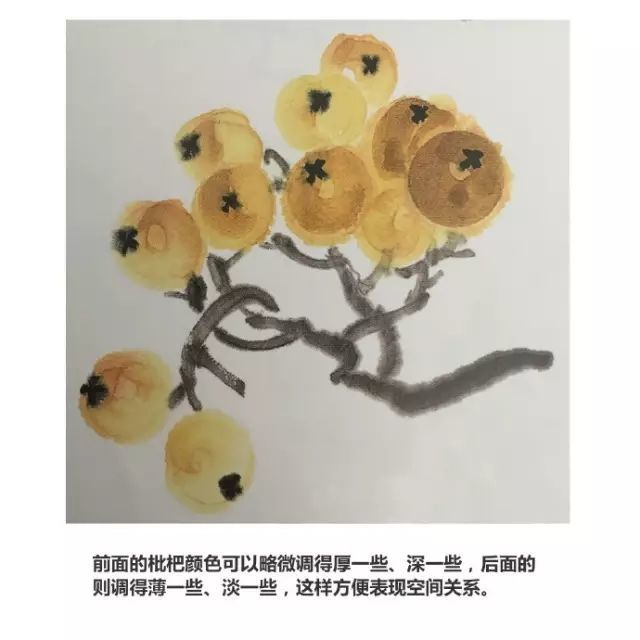 画法|跟着徐湛老师学写意：枇杷的画法
