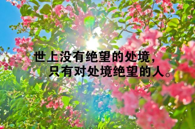 分享朋友圈精闢的人生哲理說說感悟勵志語錄,總有一句戳中你