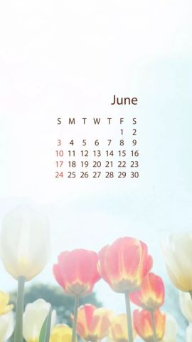 六月份日历壁纸