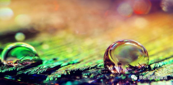 关于旅游景区活动策划的那些套路!