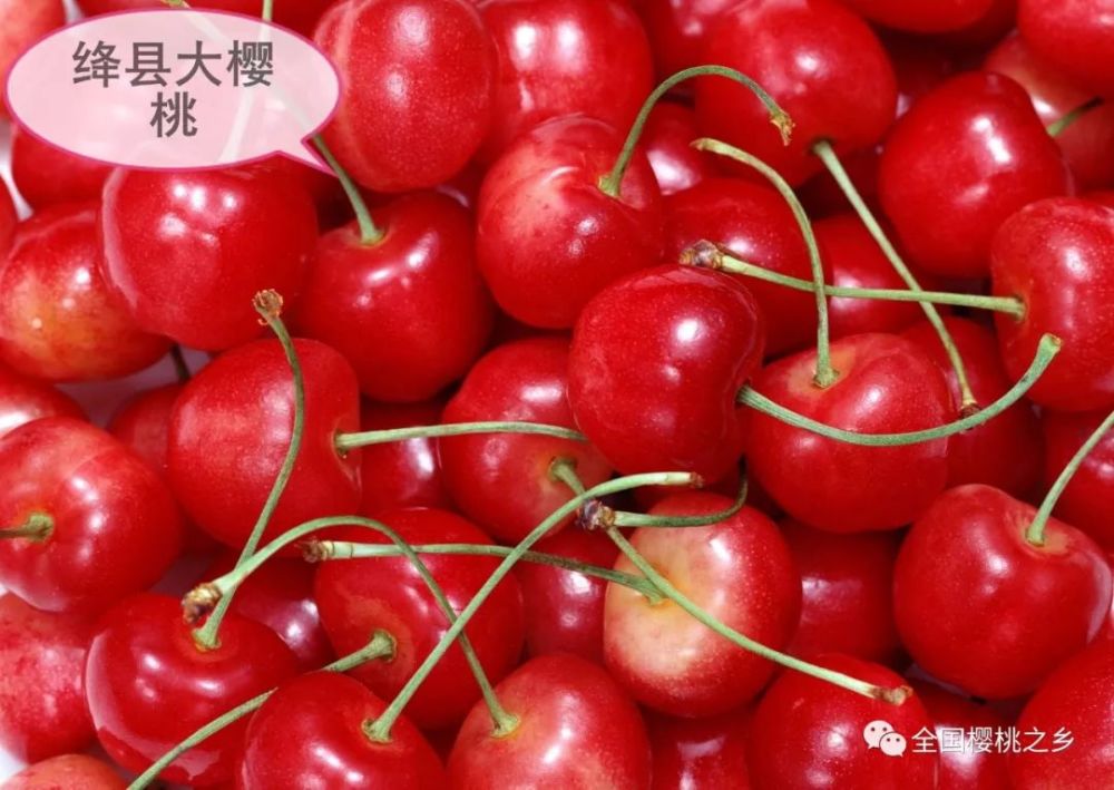 绛县打掉3个涉黑涉恶团伙 破获刑事案件11起