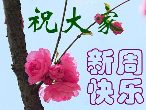 2019最新早晨問候動態圖片表情祝福語,早安心情問候語