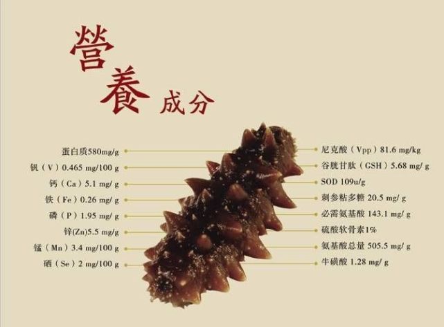 就以干海参为例,看看海参的营养素含量,根据《中国食物成分表》,每100